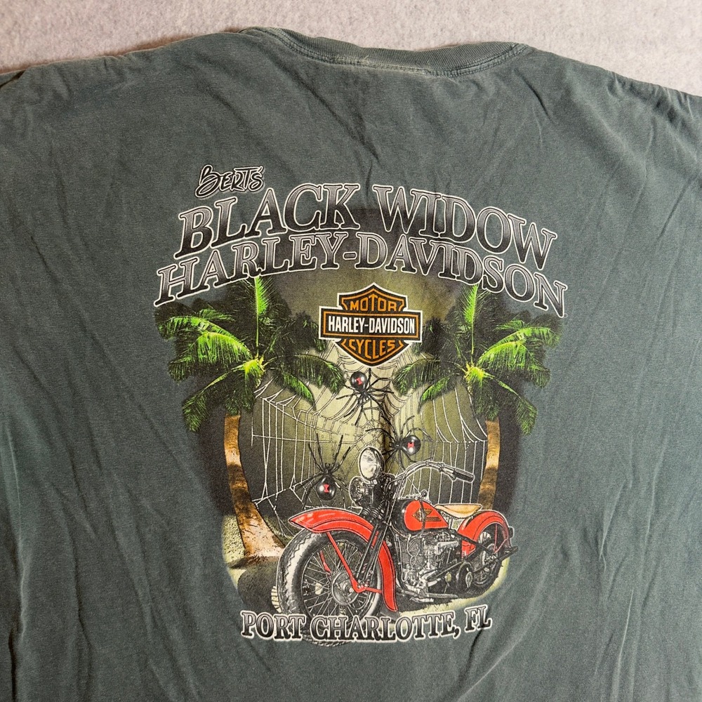 Harley Davidson Berts Black Widow T Shirt Faded Green Mens XL Paint Splatter